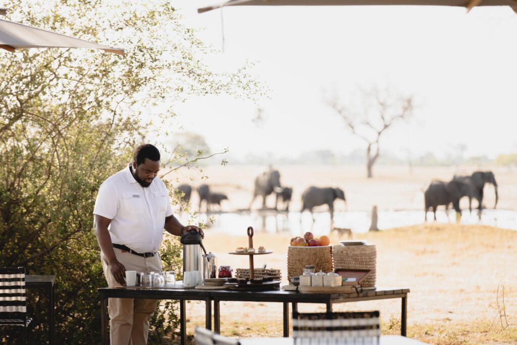 Hwange, Wilderness