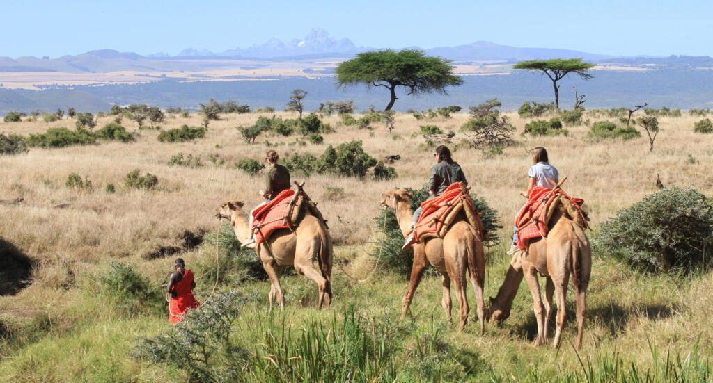 Camel Riding, Laikipia