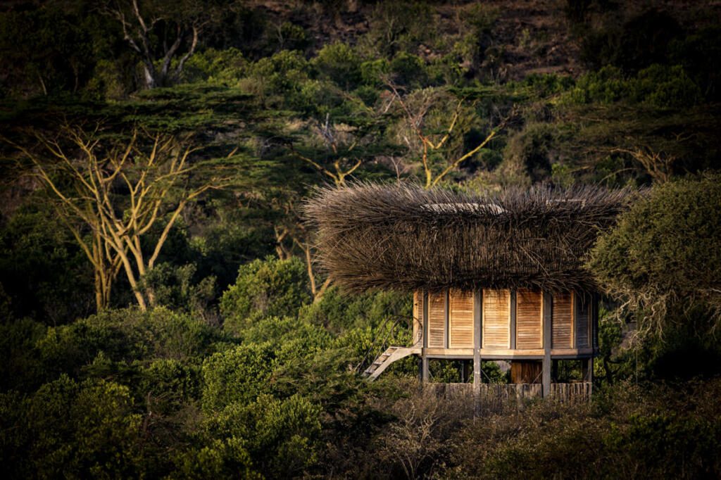 NAY PALAD Bird Nest, Segera Retreat