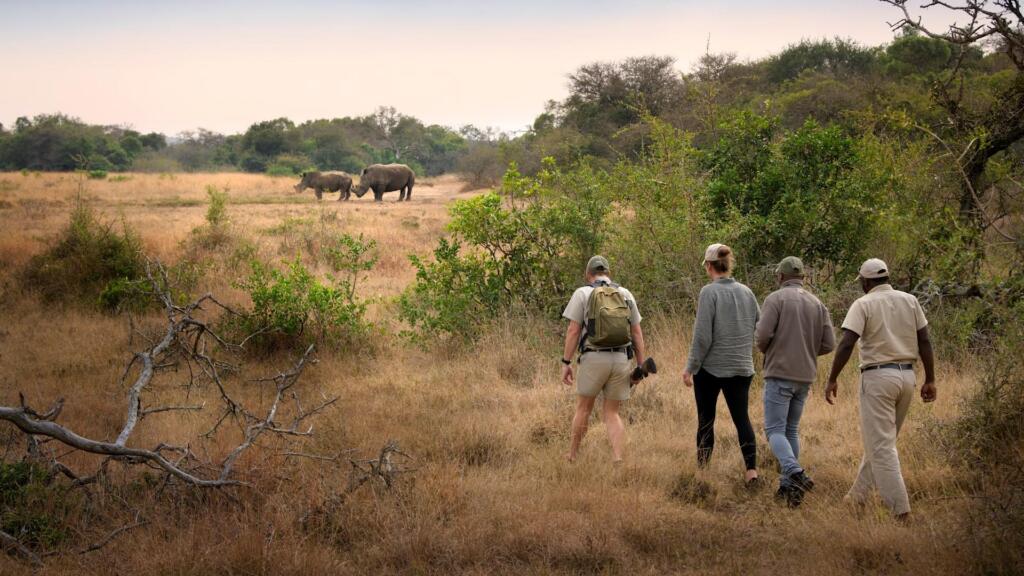 Walking safari, Phinda Private Game Reserve