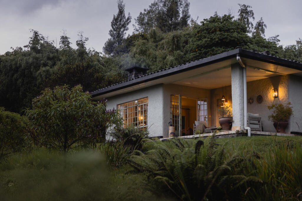 Gorilla Trekking, Wilderness, Volcanoes National Park