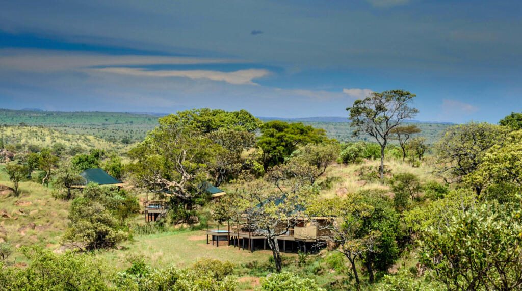 Serengeti, Great Wildebeest Migration, Luxury Safari