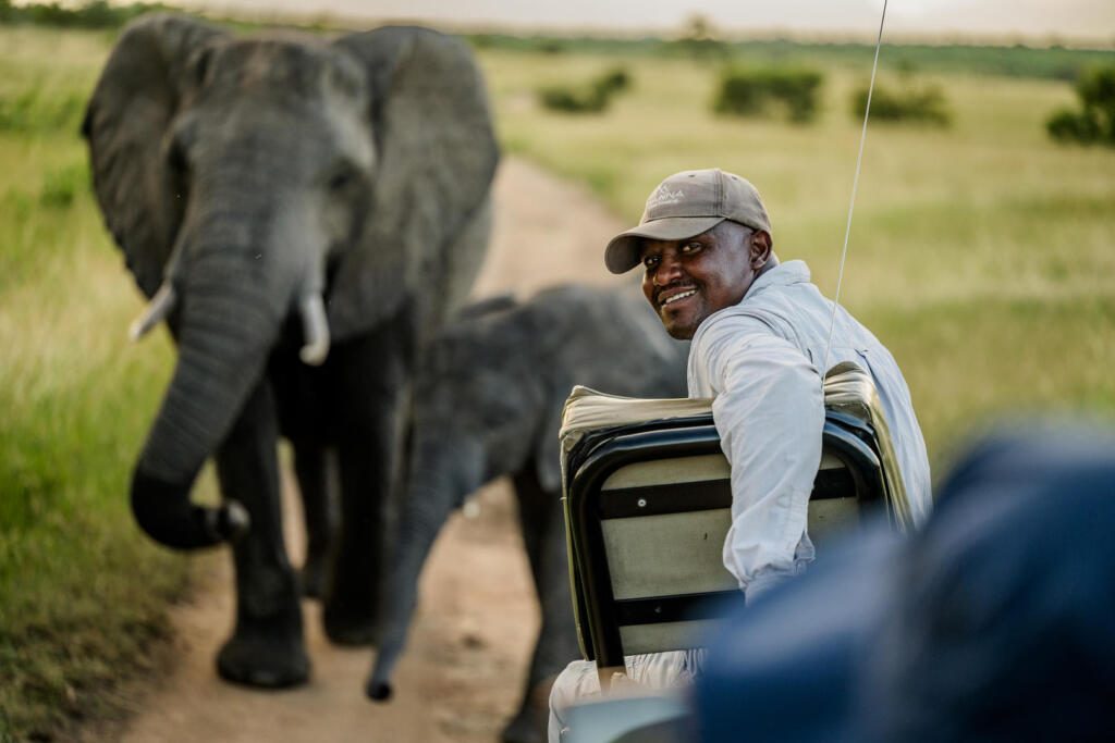 Sabi Sands, Sabi Sand Game Reserve, Big Five Safaris