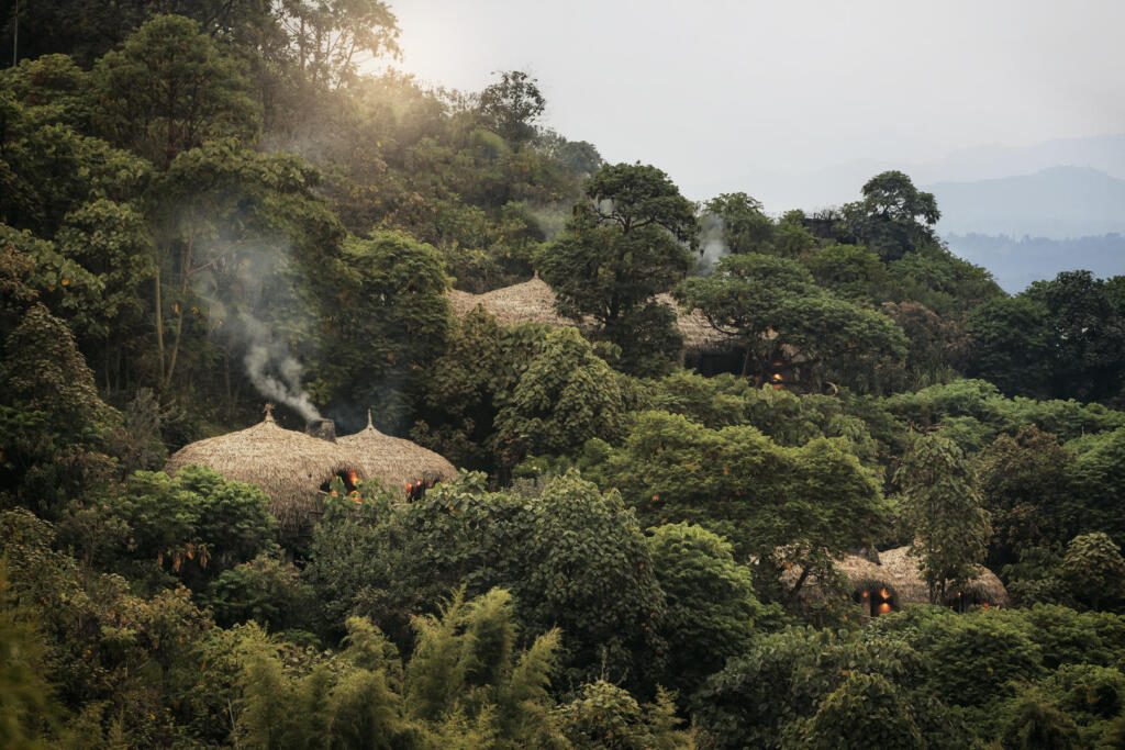 Gorilla Trekking, Wilderness, Volcanoes National Park