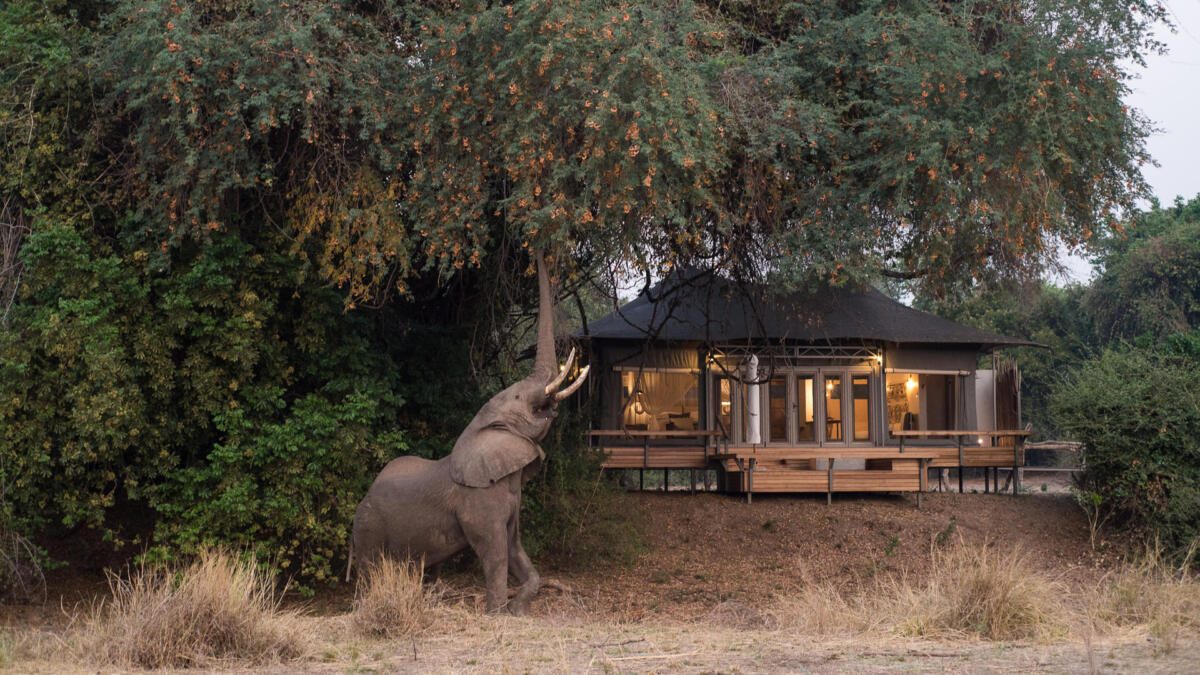 Mana Pools, Luxury Safari, Wilderness Destination