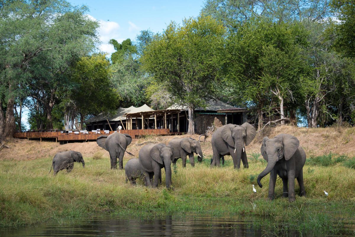 Zambezi River Cruise, Wilderness Destinations, Wilderness, Mana Pools, Zimbabwe Safari