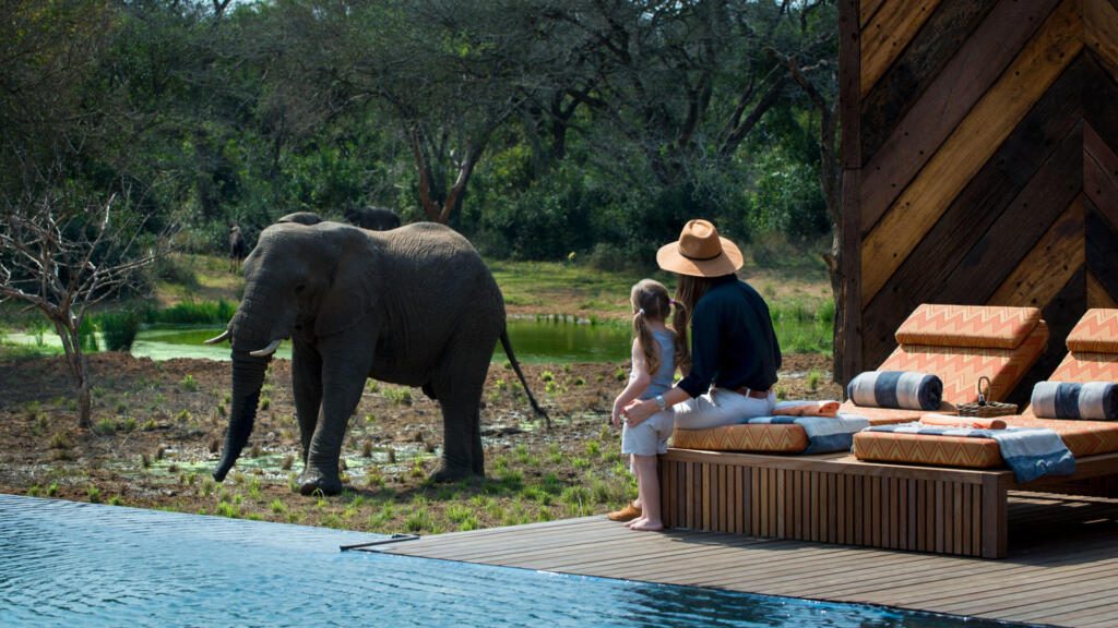 andBeyond, &Beyond, Phinda, Big Five Safari, Exclusive-use safaris, family safaris