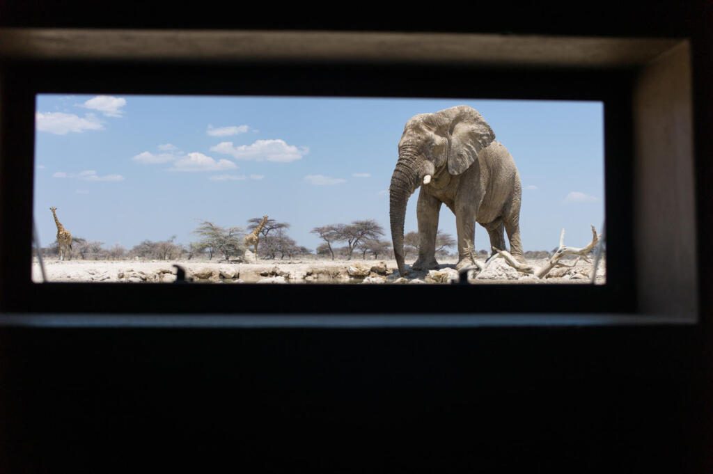 Onguma Tented Camp, Etosha National Park, Namibia