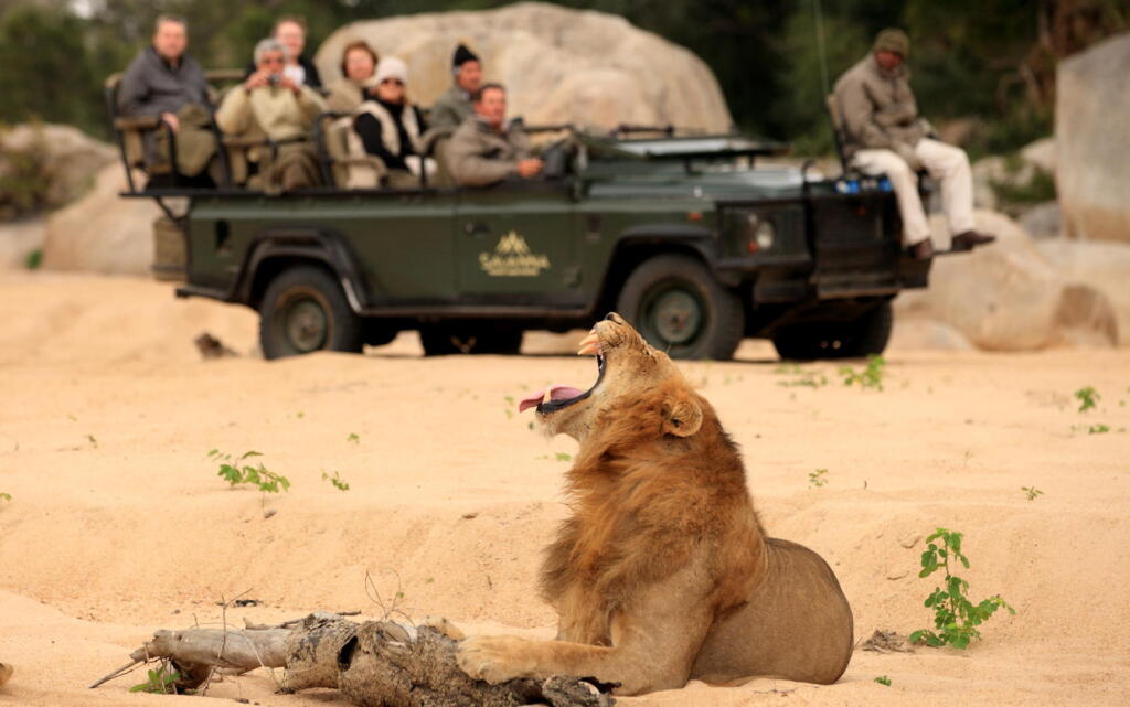 Sabi Sands, Sabi Sand Game Reserve, Big Five Safaris