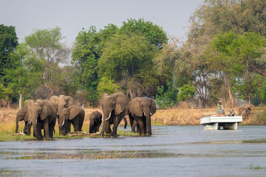 Zambezi River Cruise, Wilderness Destinations, Wilderness, Mana Pools, Zimbabwe Safari