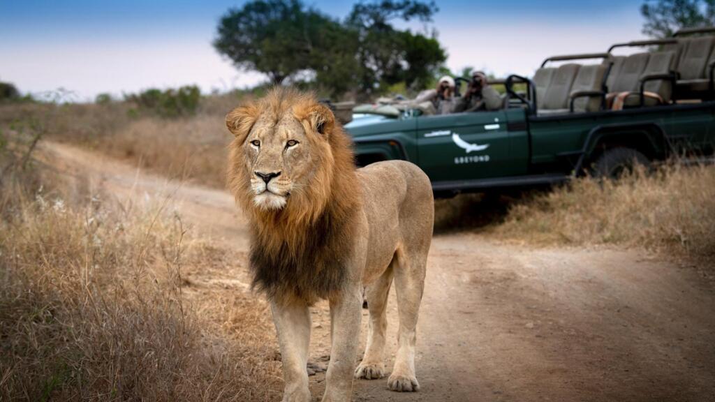 andBeyond, &Beyond, Phinda, Big Five Safari, Exclusive-use safaris, family safaris
