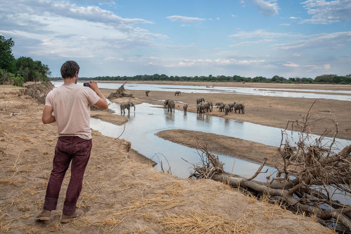 Walking safari, South Luangwa, elephants on foot