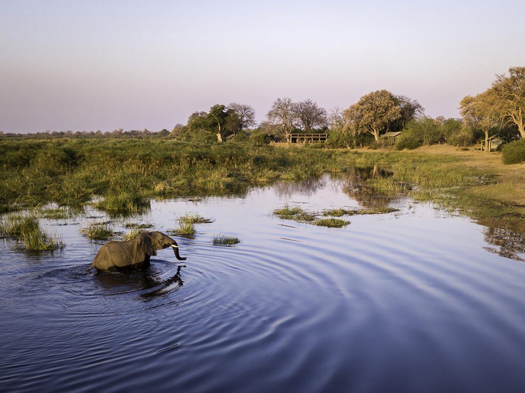 Linyanti Wildlife Reserve