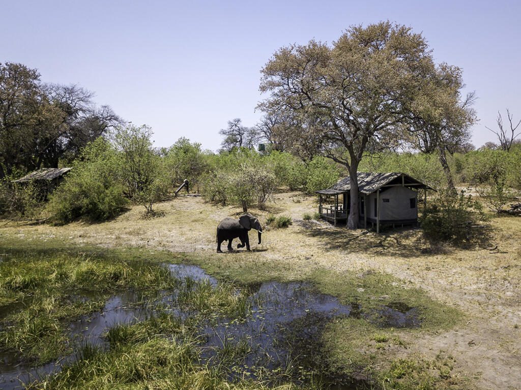 Linyanti Wildlife Reserve