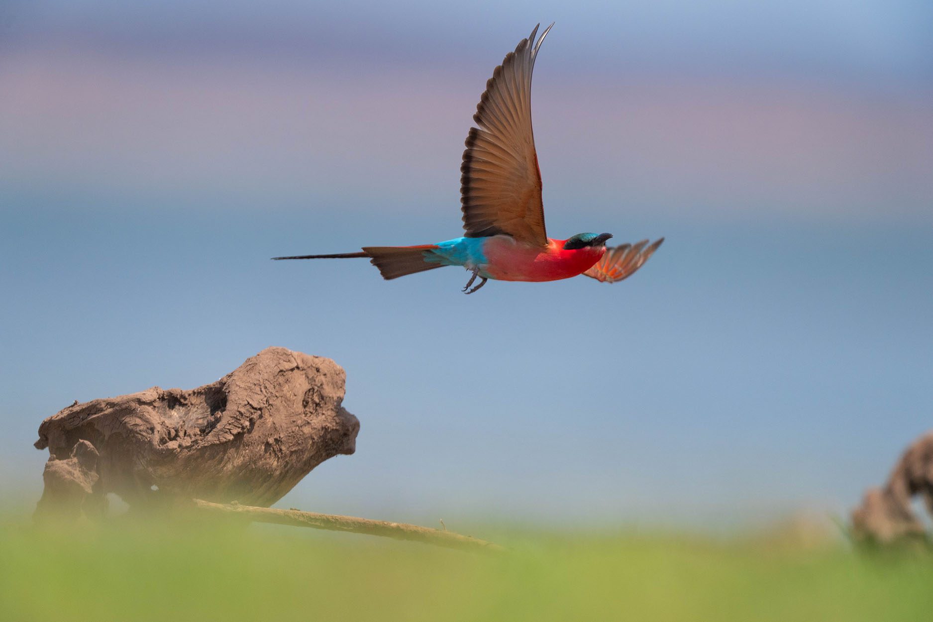 African Bush Camps, Lake Kariba, Matusadona Safari, Zimbabwe Safari