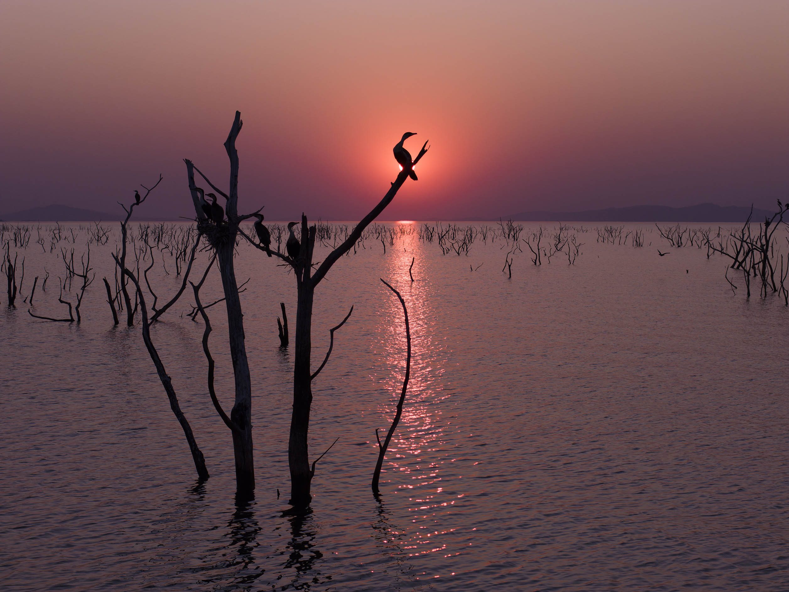 African Bush Camps, Lake Kariba, Matusadona Safari, Zimbabwe Safari