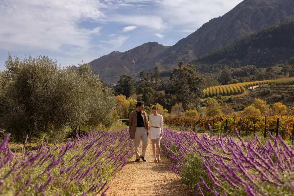 Travel + Leisure, Cape Town, Royal Portfolio, Cape Winelands