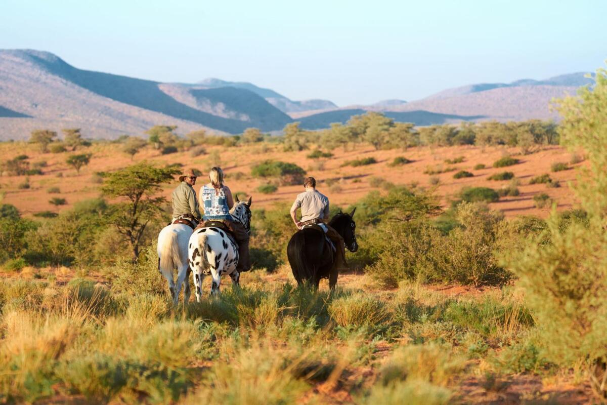 Horseback Safaris