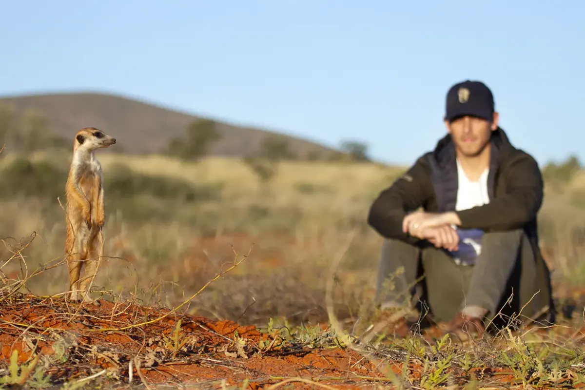 Tswalu Kalahari, Meerkat Experience