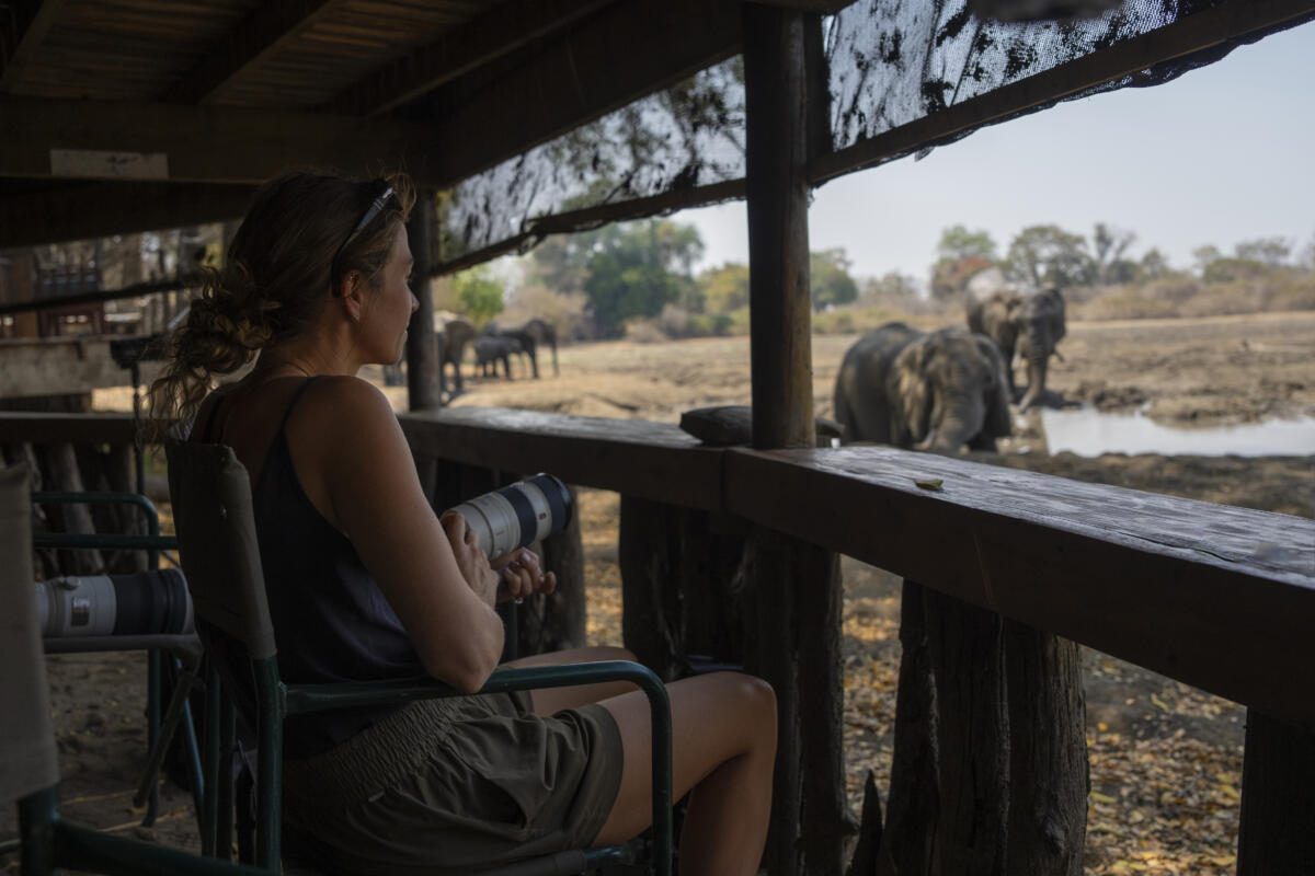 African Bush Camps, Mana Pools National Park, Luxury Safari, Kanga Photographic Hide