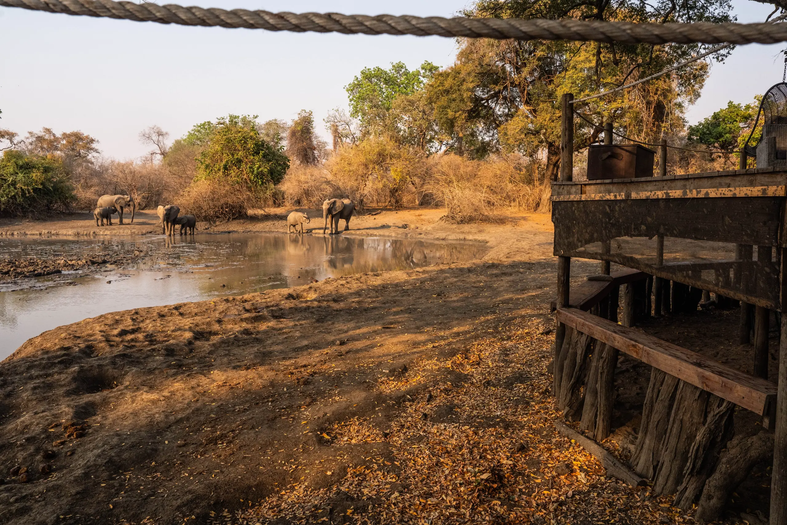 African Bush Camps, Kanga Photographic Hide, Mana Pools National Park, Luxury Safari