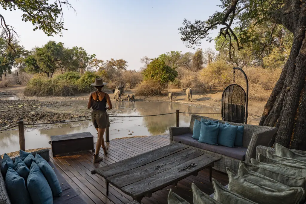African Bush Camps, Mana Pools National Park, Luxury Safari, Kanga Photographic Hide