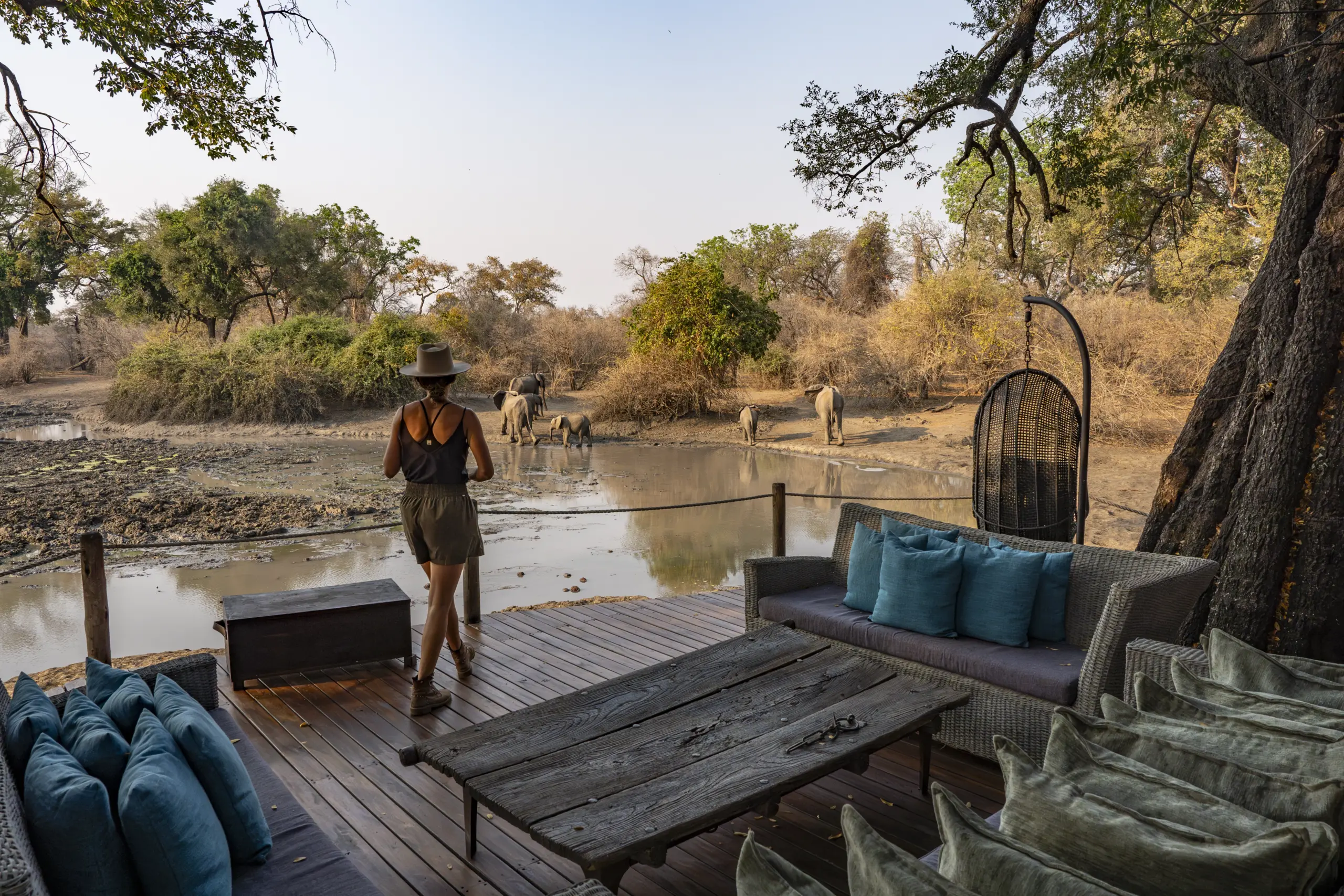 African Bush Camps, Mana Pools National Park, Luxury Safari