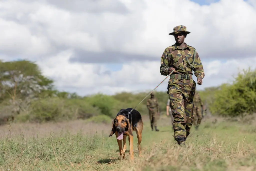 Loisaba Conservancy, Ubuntu Travel, Travel Design Specialists, Kyle Green, Leah Green. Laikipia. Big Five Safaris