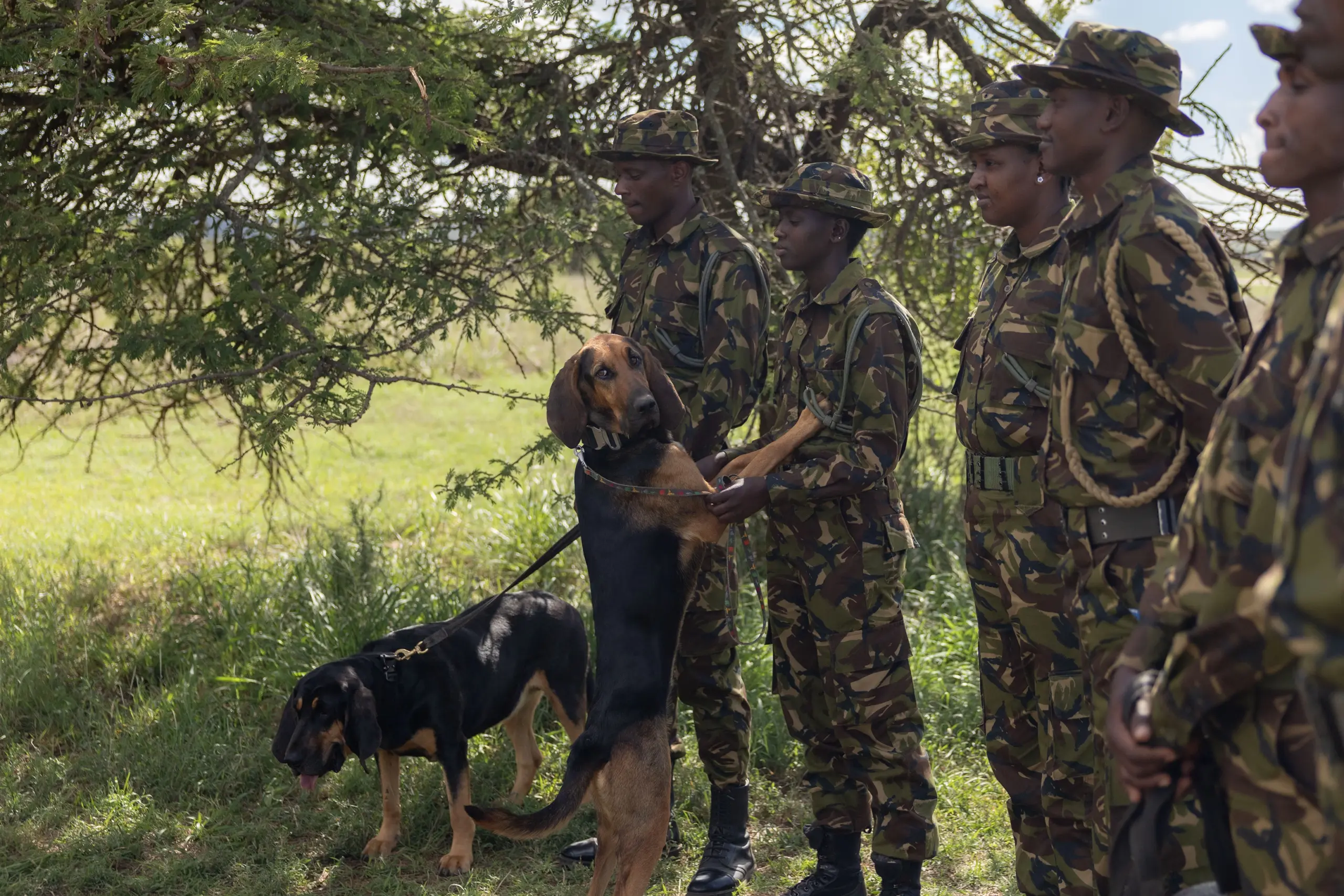 Loisaba Conservancy, Ubuntu Travel, Travel Design Specialists, Kyle Green, Leah Green. Laikipia. Big Five Safaris