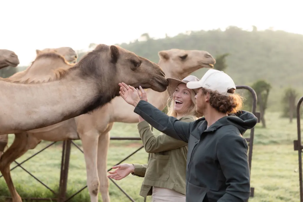 &Beyond Suyina, Suyian, Suyian Conservancy, Black leopard, Ubuntu Travel, Travel Design Specialists, Kyle Green, Leah Green. Laikipia. Big Five Safaris