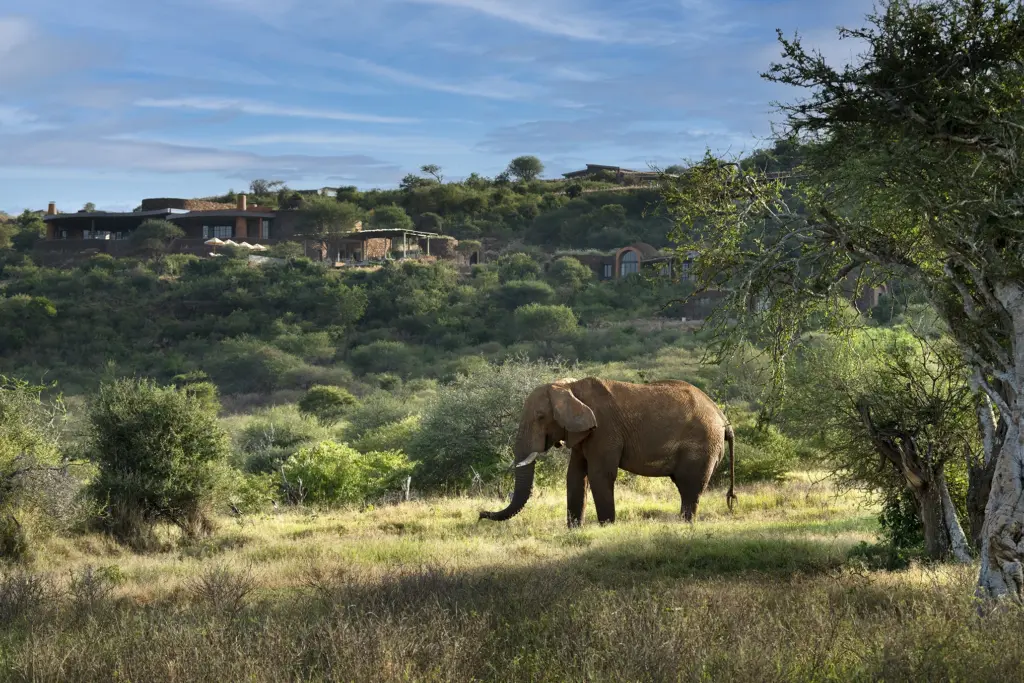 Game drives and wildlife sightings at andBeyond Suyian. 